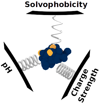 Polymer and Polyelectrolyte Phases